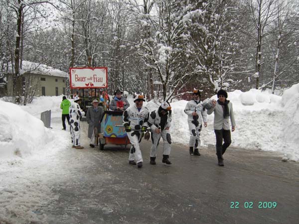 Faschingszug2009 039